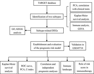 Development of A novel ferroptosis-related prognostic signature with multiple significance in paediatric neuroblastoma